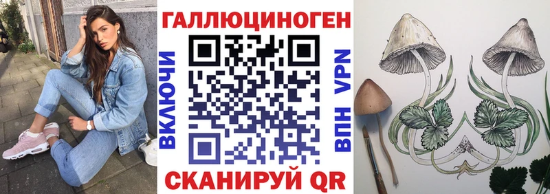 купить Строитель Псилоцибиновые грибы GOLDEN TEACHER