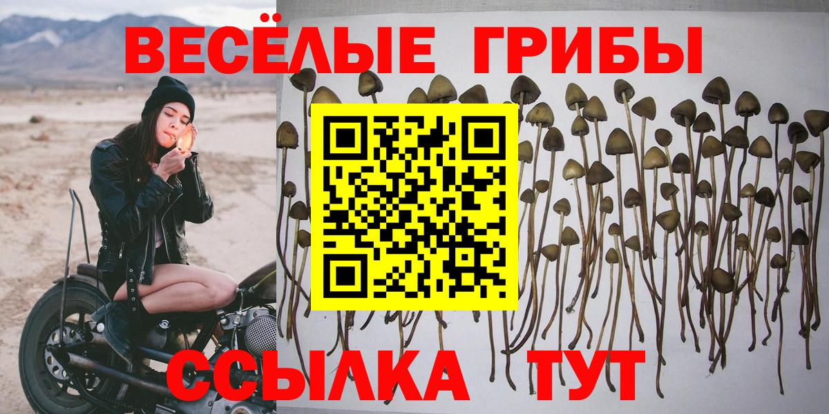 Строитель  Галлюциногенные грибы прущие грибы  Вход с VPN 
